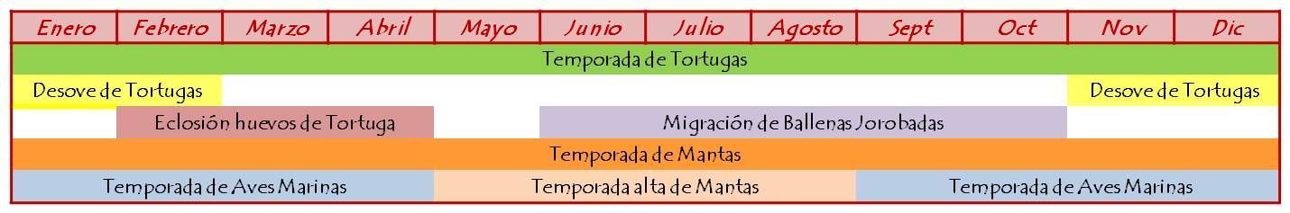 Nature Timetable LEI