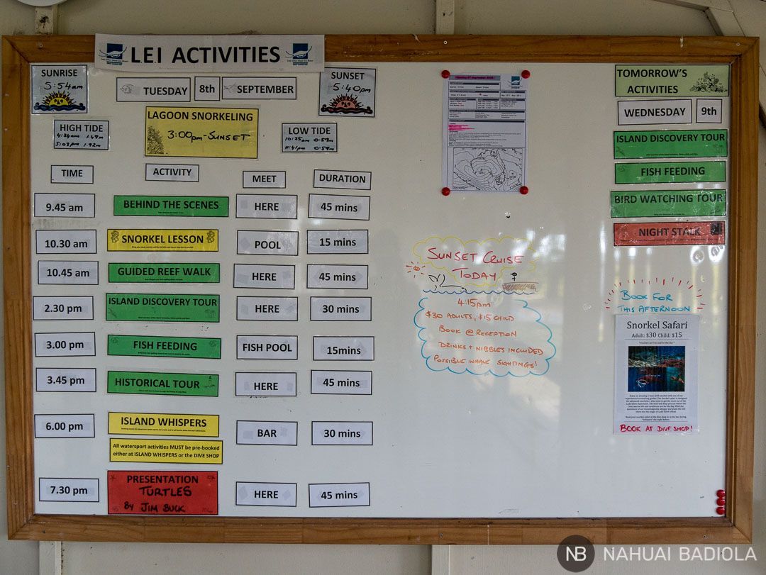 Panel de actividades diario - Lady Elliot Island