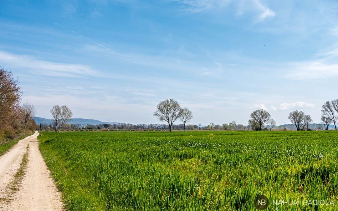 Bicycle route along the Trasimeno river, Umbria