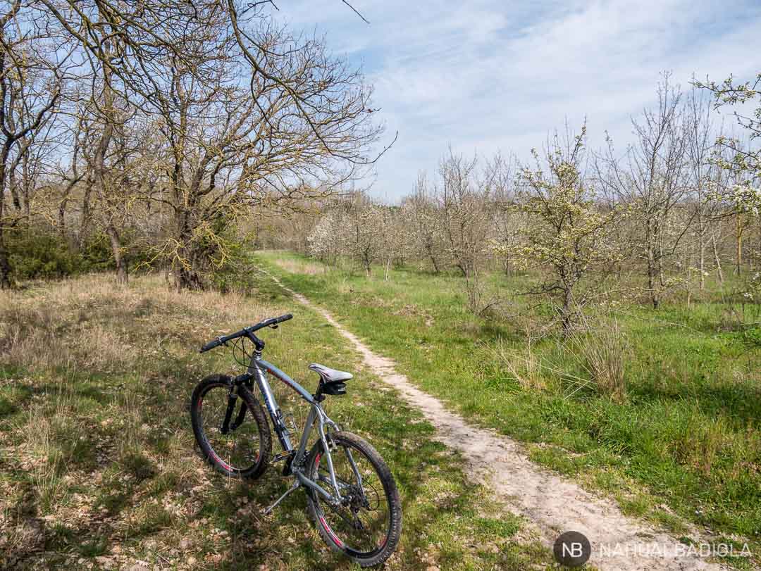 Cycling route around Lake Trasimeno